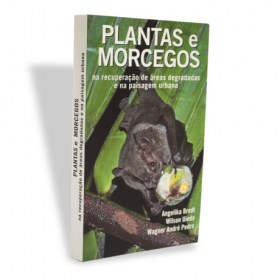 plantas-e-morcegos-460x460