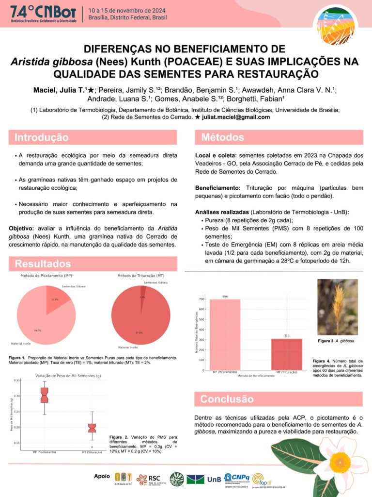 Diferenças no beneficiamento de Aristida gibbosa (Nees) Kunth (Poaceae) e suas implicações na qualidade das sementes para restauração