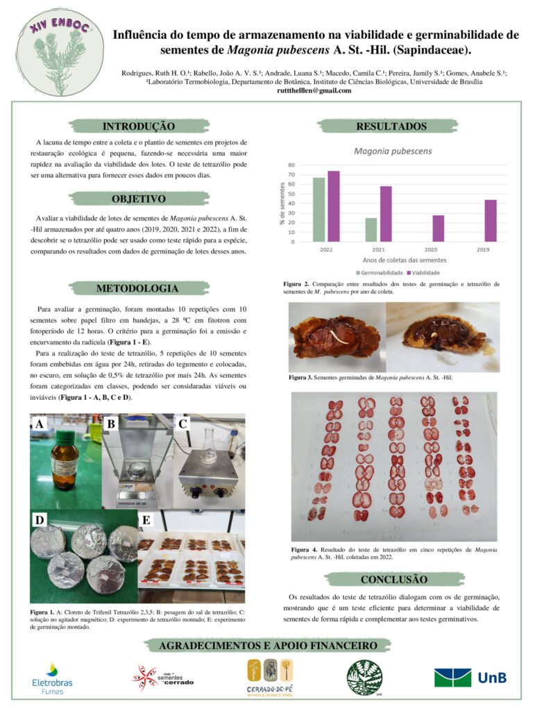 Influência do tempo de armazenamento na viabilidade e germinabilidade de sementes de Magonia pubescens A. St. -Hil. (Sapindaceae).