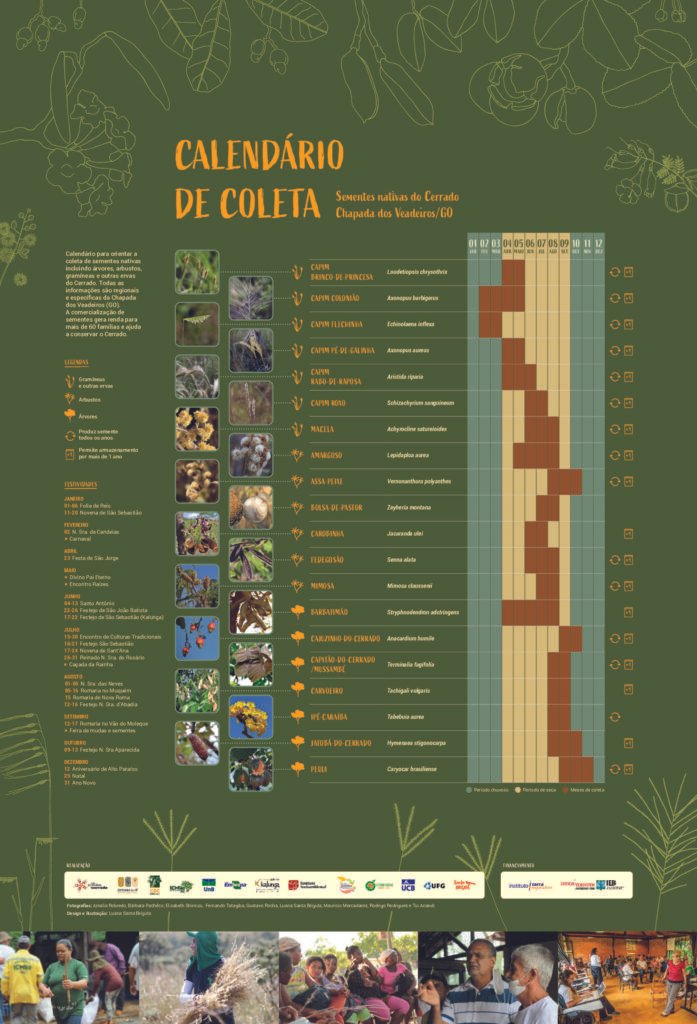 Calendário de Coleta: sementes nativas do Cerrado – Chapada dos Veadeiros/GO