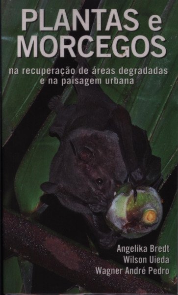 Plantas e morcegos na recuperação de áreas degradadas e na paisagem urbana