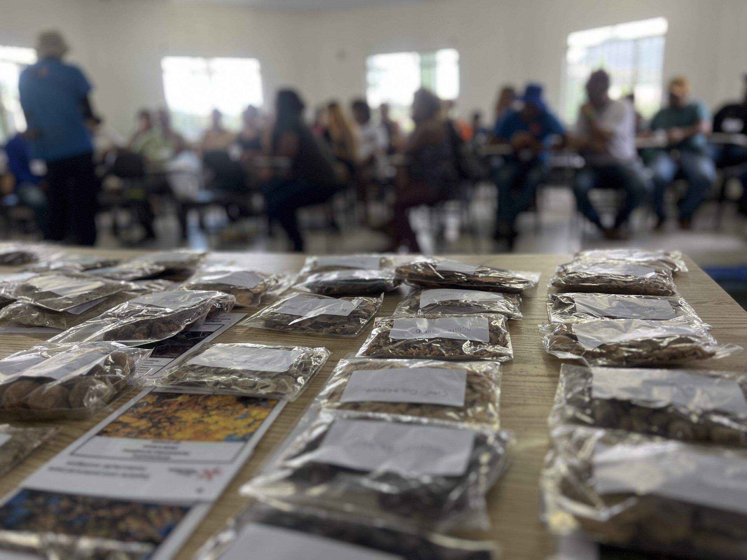 A pesquisa aliada a prática: subsídios para a restauração ecológica inclusiva e adaptada as mudanças climáticas