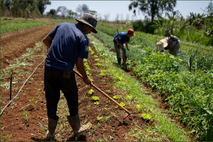 APROSPERA – Associação dos Produtores Agroecológicos do Alto São Bartolomeu