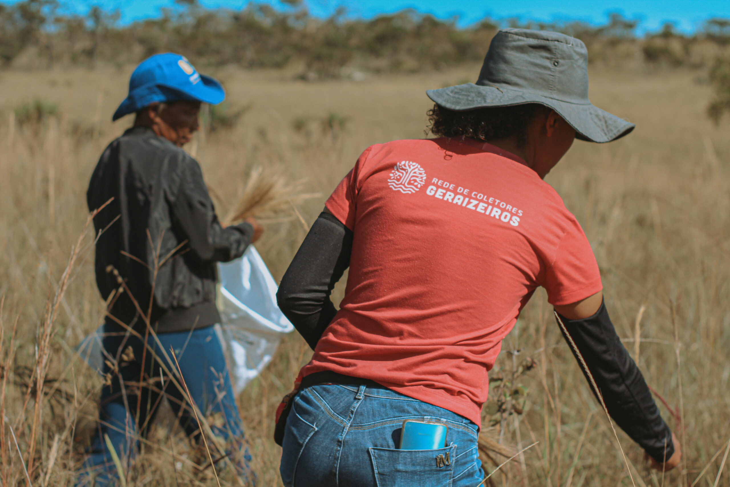 COOCREARP – Rede de Coletores Geraizeiros