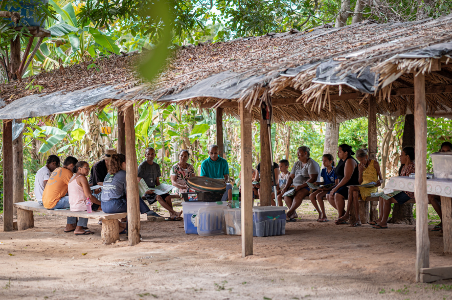 RESSEMEAR – Rede de Sementes do Araguaia