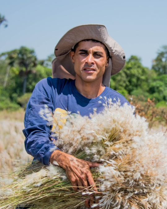 Claudomiro Cortes