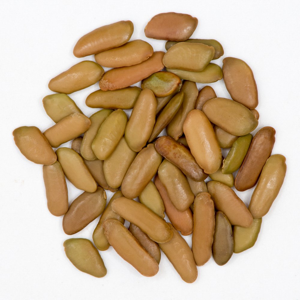 Tachigali vulgaris L.G.Silva & H.C.Lima – Carvoeiro